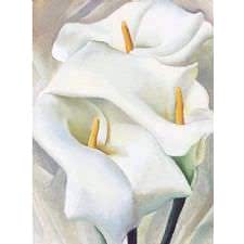 Georgia OKeeffe - Flower Tablosu