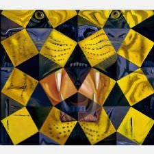 Salvador Dali - Tiger Tablosu