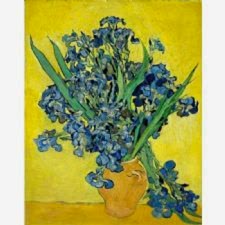 Vincent Van Gogh - Les Iris Tablosu