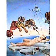 Salvador Dali - Dream Caused Tablosu