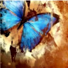 Eskitme Kelebek Tablosu