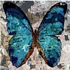 Eskitme Mavi Kelebek Tablosu