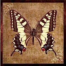 Eskitilmiş Kelebek Tablosu