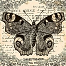 Nostalji Kelebek Tablosu