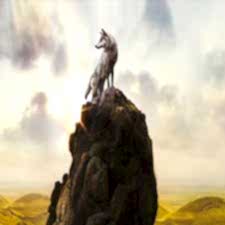 Alfa Kurt Duvar Kağıdı