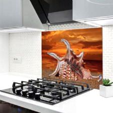 Deniz Kabuğu Ocak Arkası Koruyucu