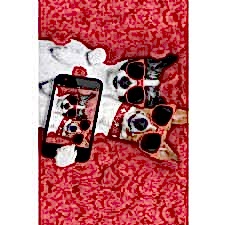 Havalı Köpekler Dijital Baskılı Halı